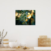 Mediterranes Gold; Oliven auf der Baumzweigung Poster (Küche)
