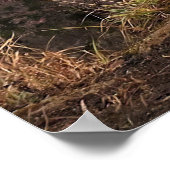 Meditieren der Macaque im Nebel Poster (Ecke)