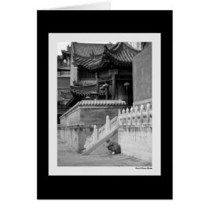 Meditierende Mönchskarte