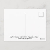 MEDITUNG Nr. 1 Postkarte (Rückseite)