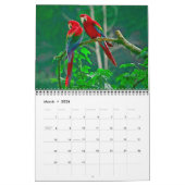 Medium Size Beautiful Birds Calendar Kalender (Mär 2026)