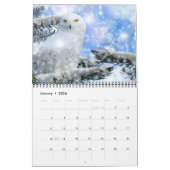Medium Size Beautiful Birds Calendar Kalender (Jan 2026)