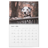 Medium Size Dog Lovers Calendar Kalender (Mär 2026)