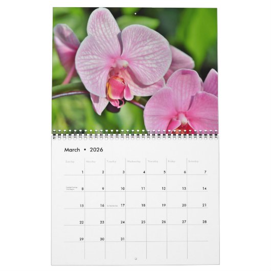 Medium Size Orchids Calendar Kalender (Mär 2026)
