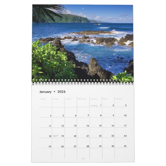 Medium Size Tropics Paradise Calendar Kalender (Jan 2026)