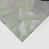 Medizin-Papier Seidenpapier (Ausschnitt)