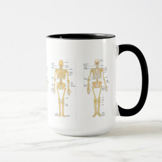 Medizin: Skelett Tasse