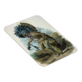 Mediziner des Mandan-Stamms in Kostümen Magnet (Rechte Seite)