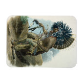 Mediziner des Mandan-Stamms in Kostümen Magnet (Horizontal)