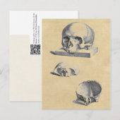 Medizinische Anatomie des menschlichen Schädels Postkarte (Vorne/Hinten)