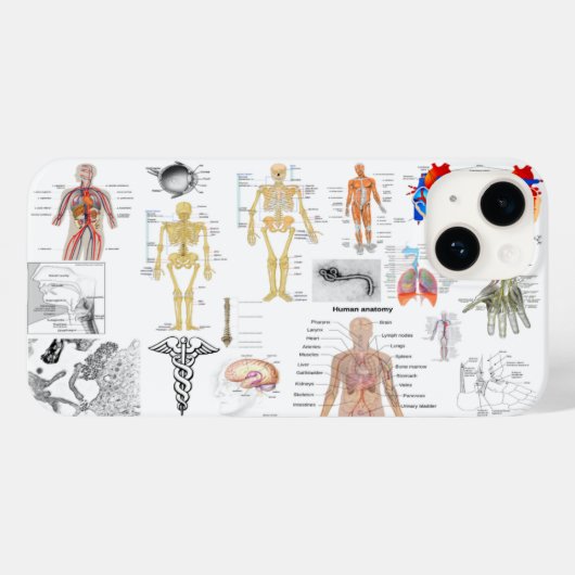 Medizinische Darstellung der Anatomie des Menschen Case-Mate iPhone Hülle (Rückseite (Horizontal))