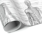 Medizinische Darstellung der Anatomie des Menschen Geschenkpapier (Rolleneckpunkt)
