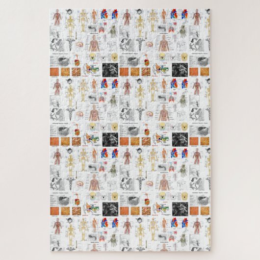 Medizinische Darstellung der Anatomie des Menschen Puzzle (Vertikal)