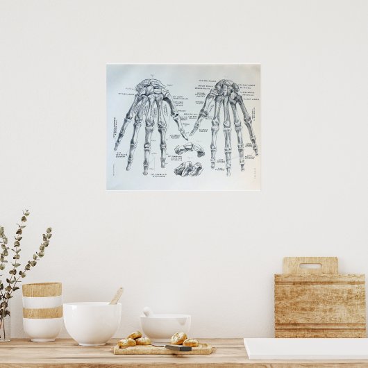 Medizinische Darstellung der Knochen der Hand Poster (Küche)