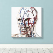 Medizinische Darstellung der Kopfschmerzen 2 Leinwanddruck (Insitu (Holzboden))