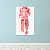 Medizinische Darstellung männlicher Muskeln unter  Leinwanddruck (Insitu (Holzboden))