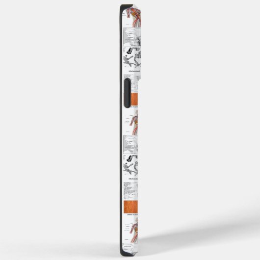 Medizinische Diagramme der Anatomie des Menschen Case-Mate iPhone Hülle (Rückseite / Rechts)