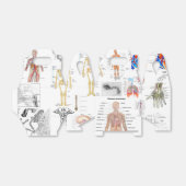Medizinische Diagramme der Anatomie des Menschen Geschenkschachtel (Ungefaltet)