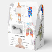 Medizinische Diagramme der Anatomie des Menschen Geschenkschachtel (Geöffnet)