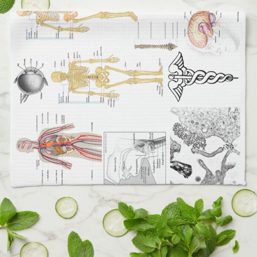 Medizinische Diagramme in voller Farbe Geschirrtuch (Gefaltet)