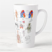 Medizinische Diagramme in voller Farbe Milchtasse (Rechts)