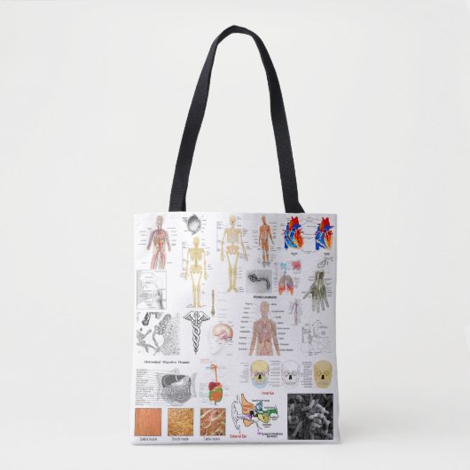 Medizinische Diagramme zur Anatomie Tasche (Vorderseite)