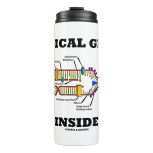 Medizinische Gene innerhalb der DNA-Replikation Ge Thermosbecher