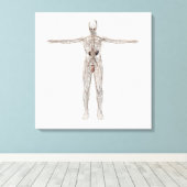 Medizinische Illustration des männlichen Lymphsyst Leinwanddruck (Insitu (Holzboden))