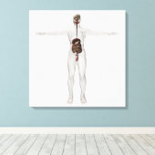 Medizinische Illustration des männlichen Verdauung Leinwanddruck (Insitu (Holzboden))