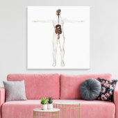 Medizinische Illustration des männlichen Verdauung Leinwanddruck (Insitu (Wohnzimmer))
