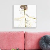 Medizinische Illustration des menschlichen Nervens Leinwanddruck (Insitu (Wohnzimmer))