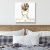 Medizinische Illustration des menschlichen Nervens Leinwanddruck (Insitu (Schlafzimmer))