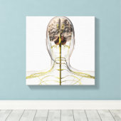 Medizinische Illustration des menschlichen Nervens Leinwanddruck (Insitu (Holzboden))