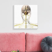 Medizinische Illustration des menschlichen Nervens Leinwanddruck (Insitu (Wohnzimmer))