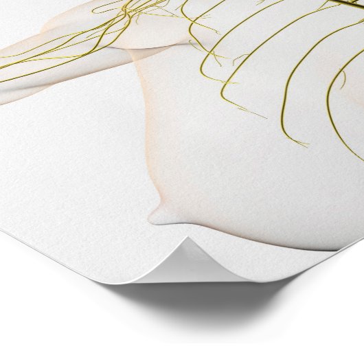 Medizinische Illustration des menschlichen Nervens Poster (Ecke)