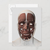 Medizinische Illustration männlicher Gesichtsmuske Postkarte (Vorne/Hinten)