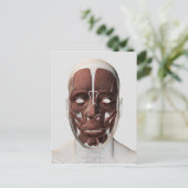 Medizinische Illustration männlicher Gesichtsmuske Postkarte (Stehend Vorderseite)