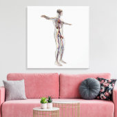 Medizinische Illustration: Männliches Reproduktion Leinwanddruck (Insitu (Wohnzimmer))