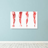 Medizinische Illustration menschlicher Armmuskeln Leinwanddruck (Insitu (Holzboden))