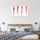 Medizinische Illustration menschlicher Armmuskeln Leinwanddruck (Insitu (Schlafzimmer))