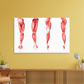 Medizinische Illustration menschlicher Armmuskeln Leinwanddruck (Insitu (Wohnzimmer))