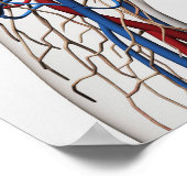 Medizinische Illustration von Artikeln 1 Poster (Ecke)