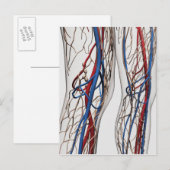Medizinische Illustration von Artikeln 1 Postkarte (Vorne/Hinten)