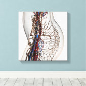 Medizinische Illustration von Artikeln 2 Leinwanddruck (Insitu (Holzboden))