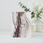 Medizinische Illustration von Artikeln 2 Postkarte (Stehend Vorderseite)