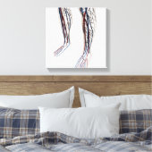 Medizinische Illustration von Artikeln 3 Leinwanddruck (Insitu (Schlafzimmer))