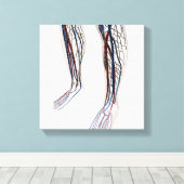 Medizinische Illustration von Artikeln 3 Leinwanddruck (Insitu (Holzboden))