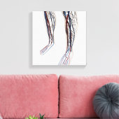 Medizinische Illustration von Artikeln 3 Leinwanddruck (Insitu (Wohnzimmer))