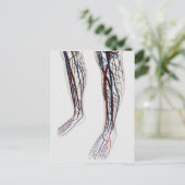 Medizinische Illustration von Artikeln 3 Postkarte (Stehend Vorderseite)