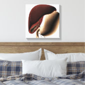Medizinische Illustration von Leber und Magengesch Leinwanddruck (Insitu (Schlafzimmer))